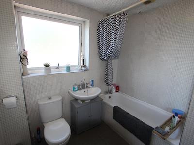 Picture 15